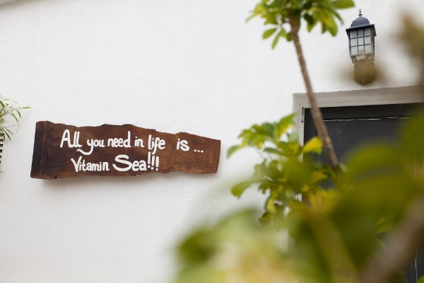 Suites & Surf Camp Amar Hostel